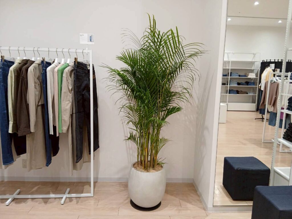 画像に alt 属性が指定されていません。ファイル名: 5d5b1dfc53bbafb209b2ff60e7b9c512-1024x768.jpg